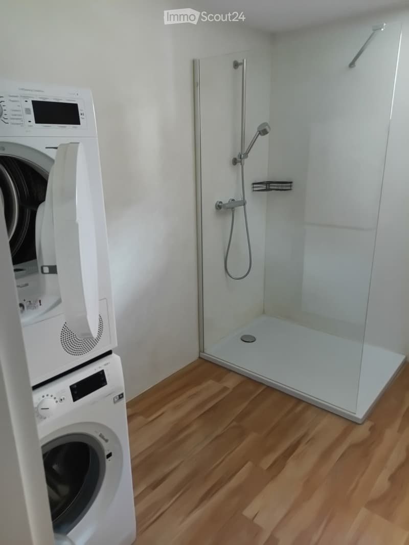 2.5 Room Apartment at Heinzenberg (3)