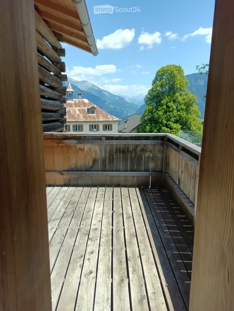 2.5 Room Apartment at Heinzenberg (1)