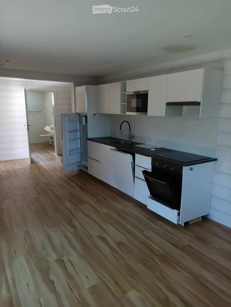 2.5 Room Apartment at Heinzenberg (5)