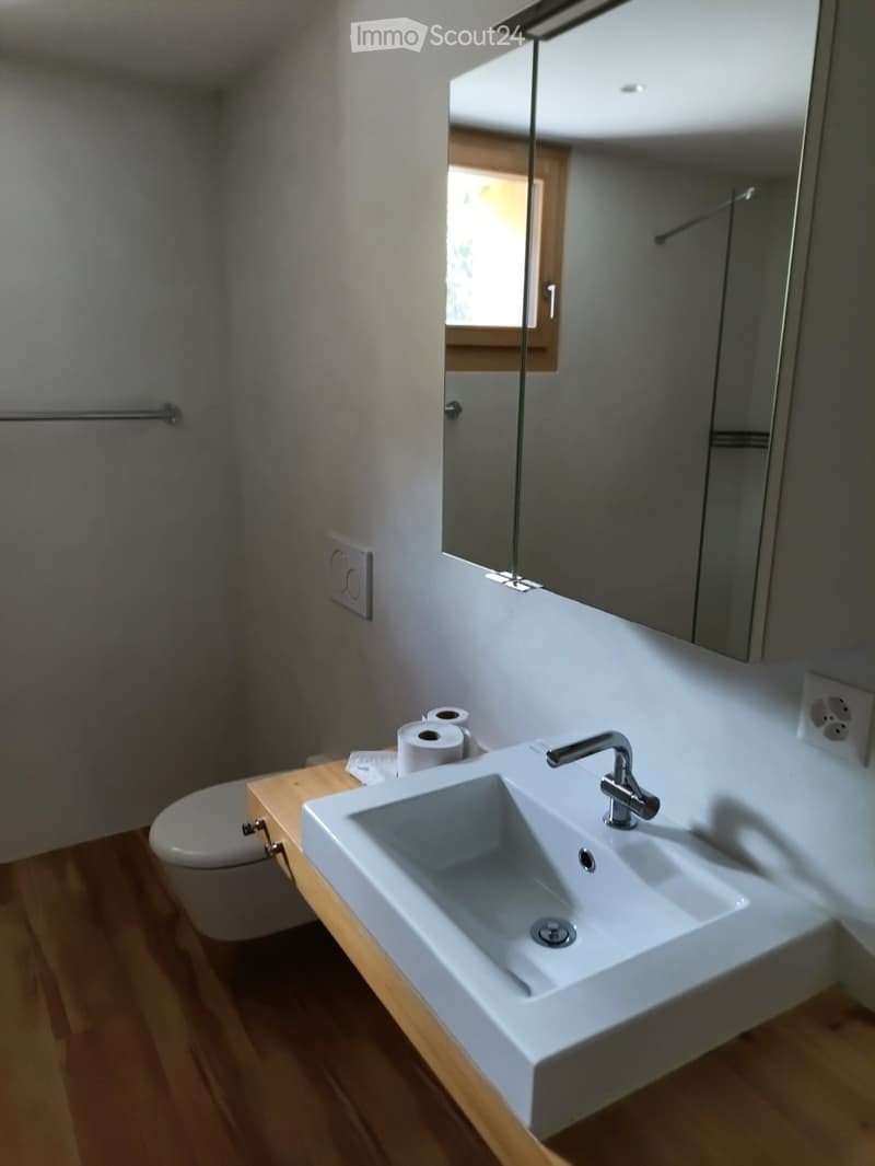 2.5 Room Apartment at Heinzenberg (2)