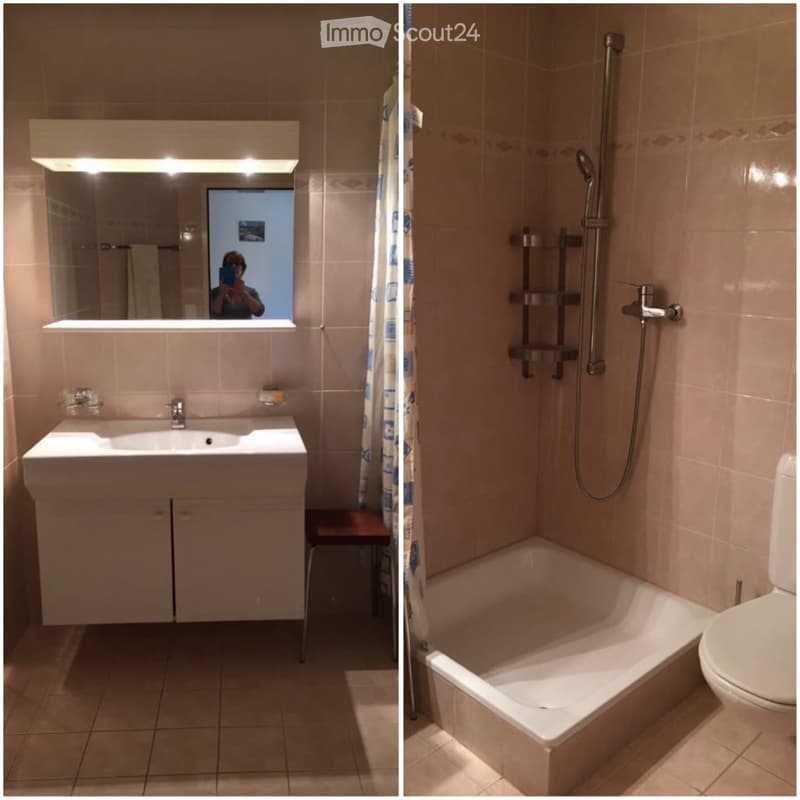 3.5-Zimmer-Wohnung mit traumhafter Bergsicht in Blatten (4)