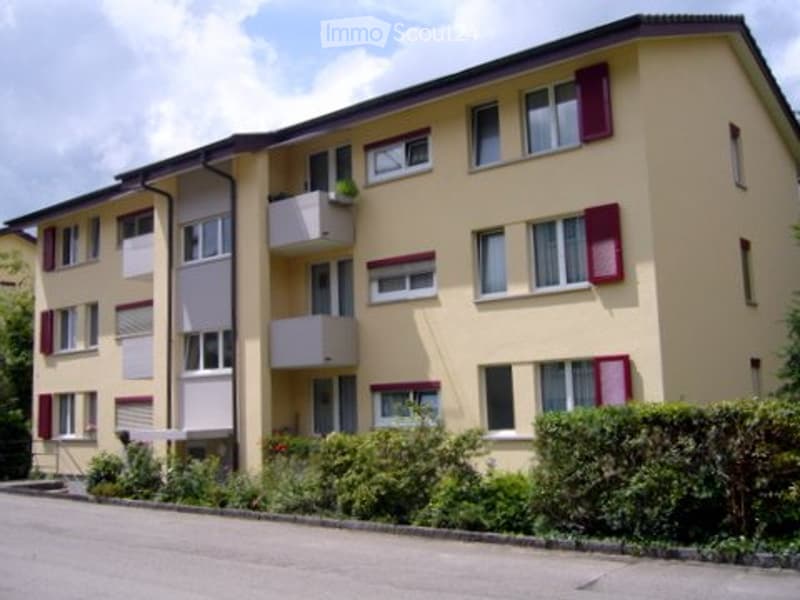 Vermietung einer 4 ½ Zimmer Genossenschaftswohnung (1)