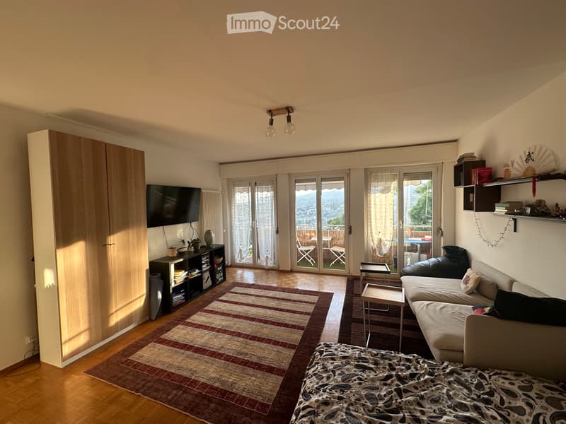 I'm looking for a sublessee for 1.5 rooms in Pregassona (1)