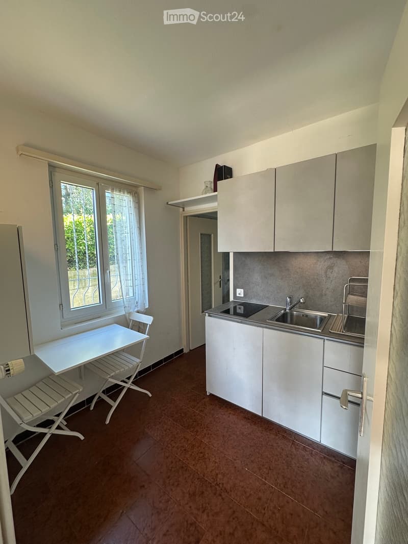 I'm looking for a sublessee for 1.5 rooms in Pregassona (3)