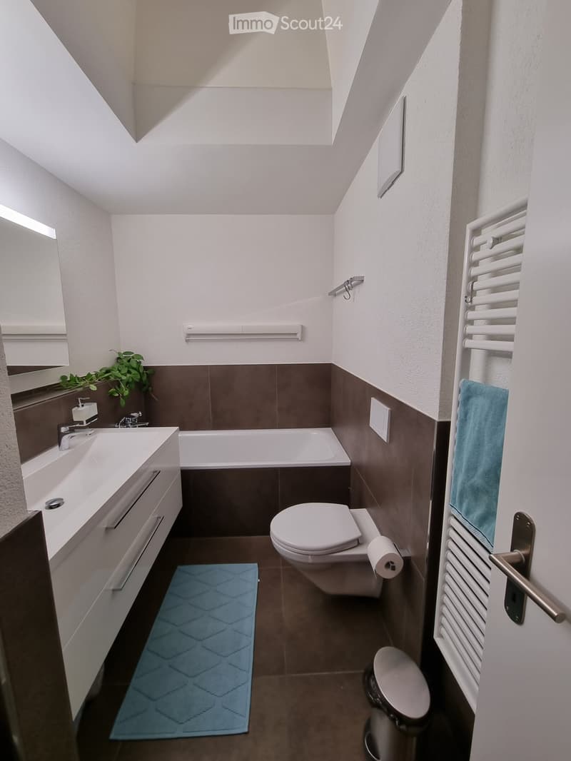 3.5-Zimmer-Attikawohnung mit grosser Terrasse (2)