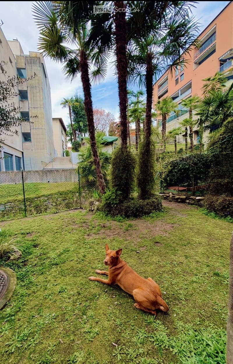 2 Zimmer mit privatem Garten und großer überdachter Terrasse (4)