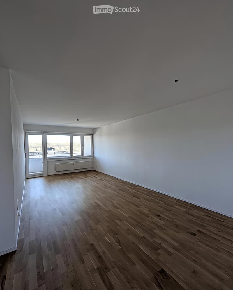 Appartement de 3,5 pièces rénové à neuf à Biel (5)