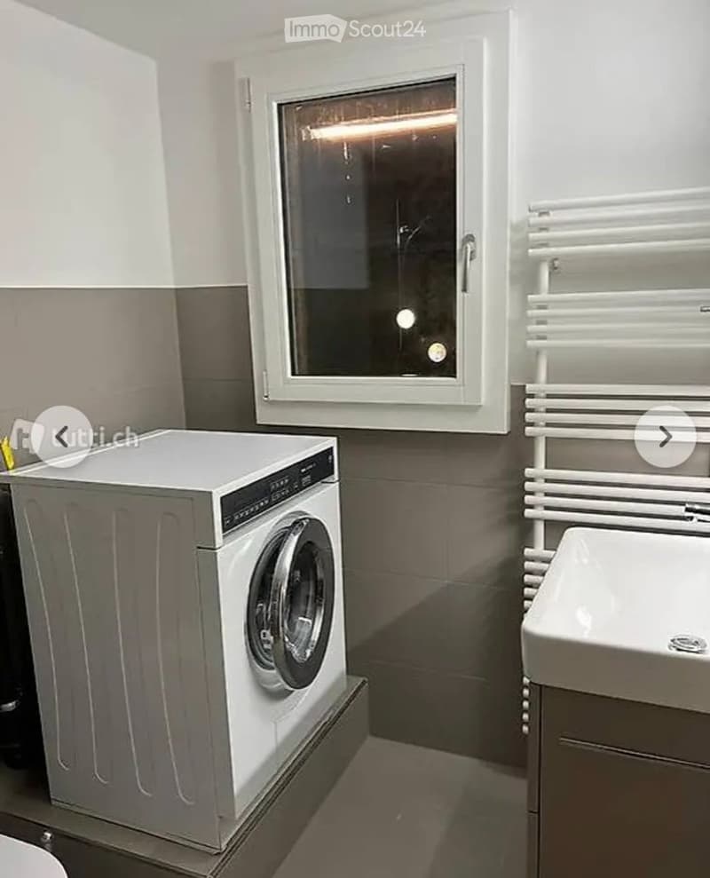 Charming 2.5-room apartment in Brittern (5)