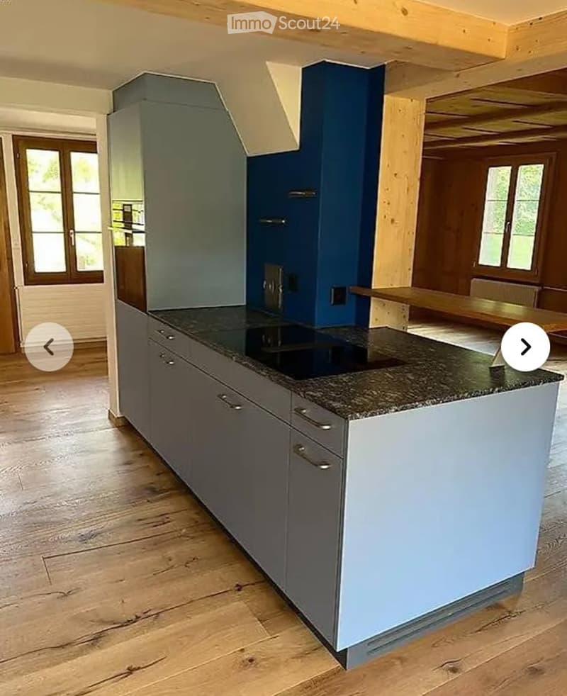 Charming 2.5-room apartment in Brittern (2)