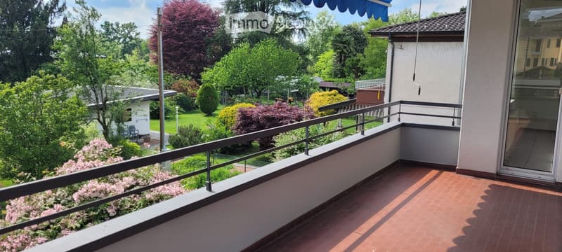 Miete helles 4.5-Zimmer-Wohnung mit schönem Blick ins Grüne (4)
