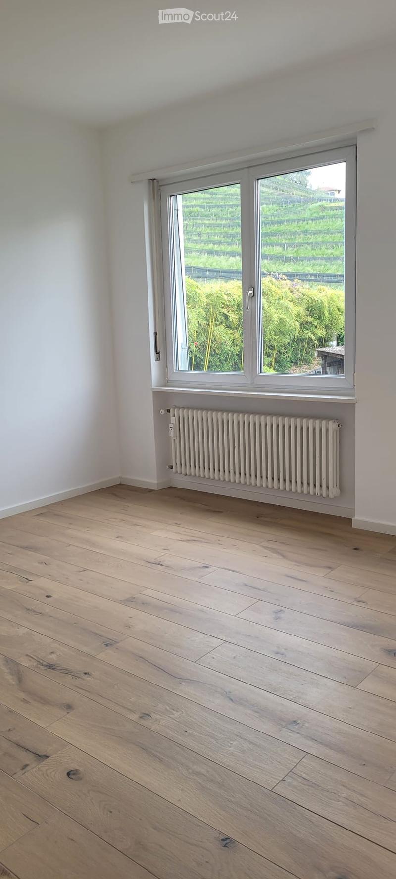 Miete helles 4.5-Zimmer-Wohnung mit schönem Blick ins Grüne (12)