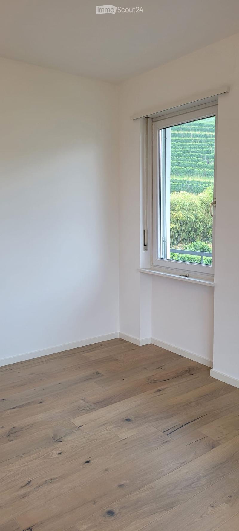 Miete helles 4.5-Zimmer-Wohnung mit schönem Blick ins Grüne (13)