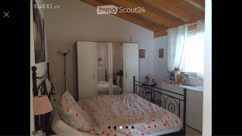 Malvaglia Apartment (2)