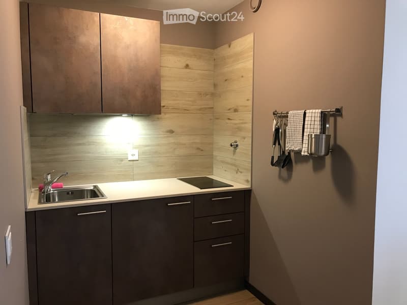 Modern 2.5-room apartment with balcony in Lugano (1)