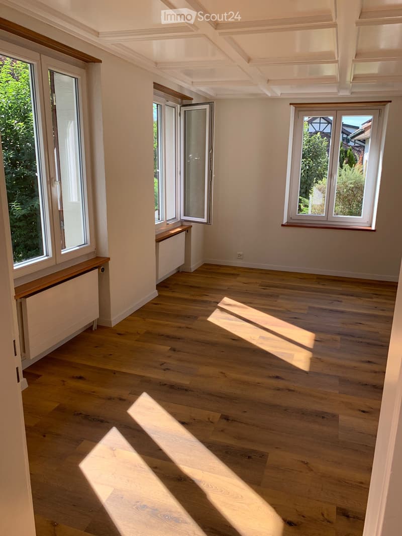 Charming 2.5 room apartment Wettingen for rent (1)