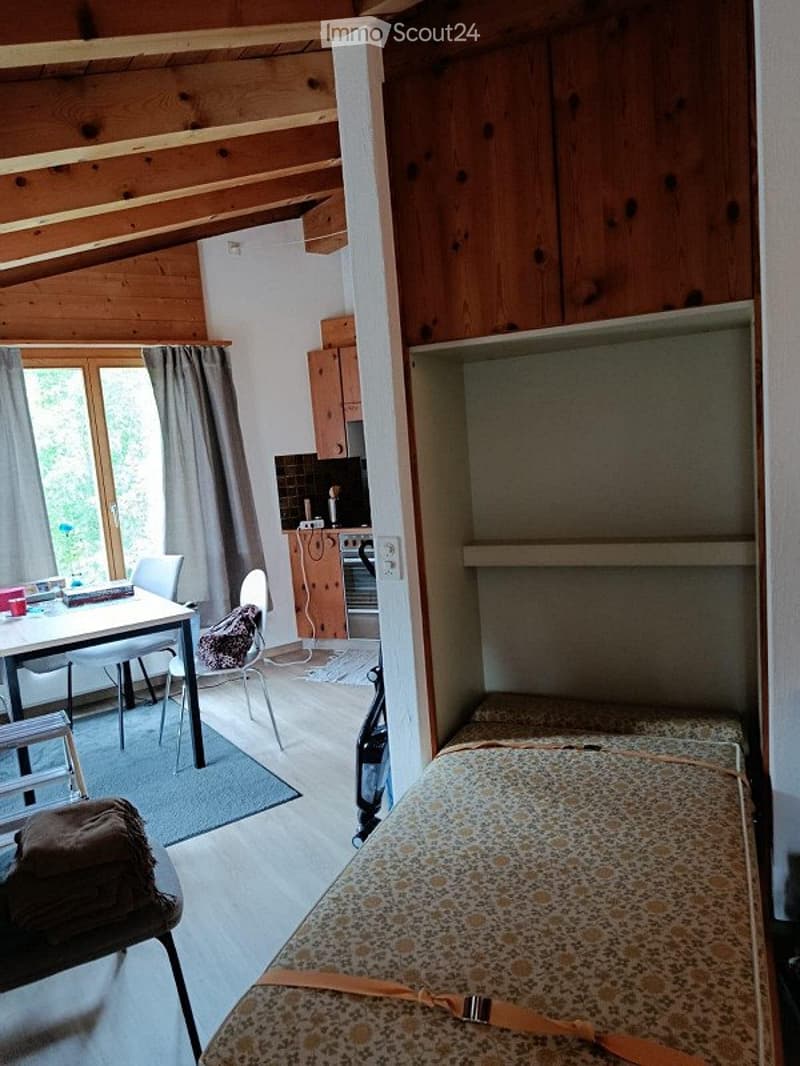 2.5-room attic apartment with balcony & dream view! (3)