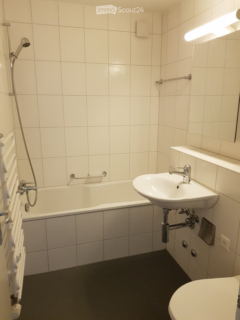 Appartamento 2 locali a Urtenen-Schönbühl - Centrale e Accogliente! (5)