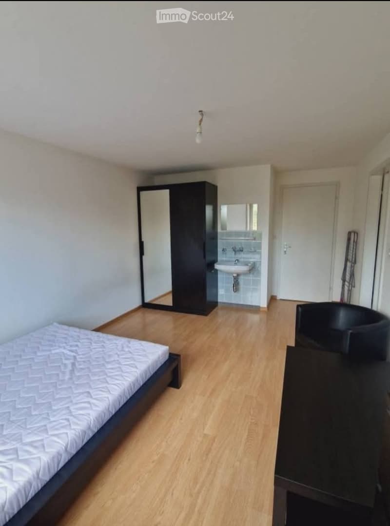 Möbliertes Zimmer zu vermieten ab sofort! Kein WG (3)
