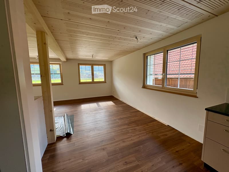 Apartment on two floors (2)
