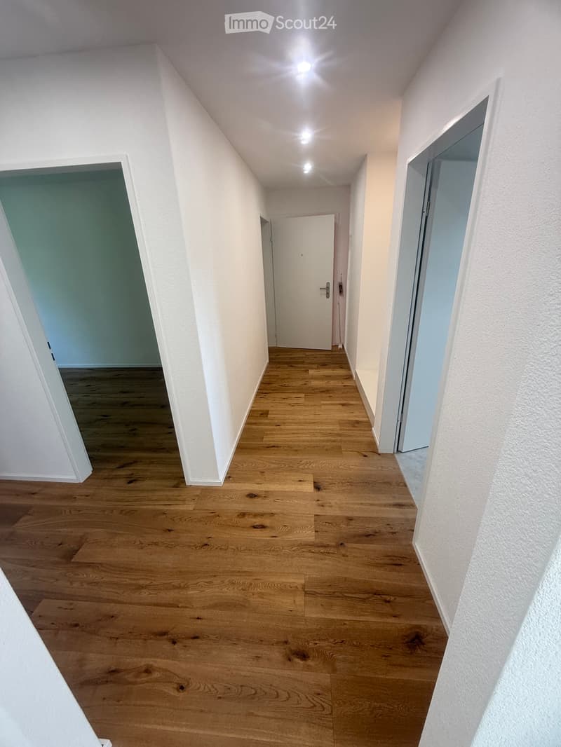 Freshly Renovated 4-Room Attic Apartment (2)