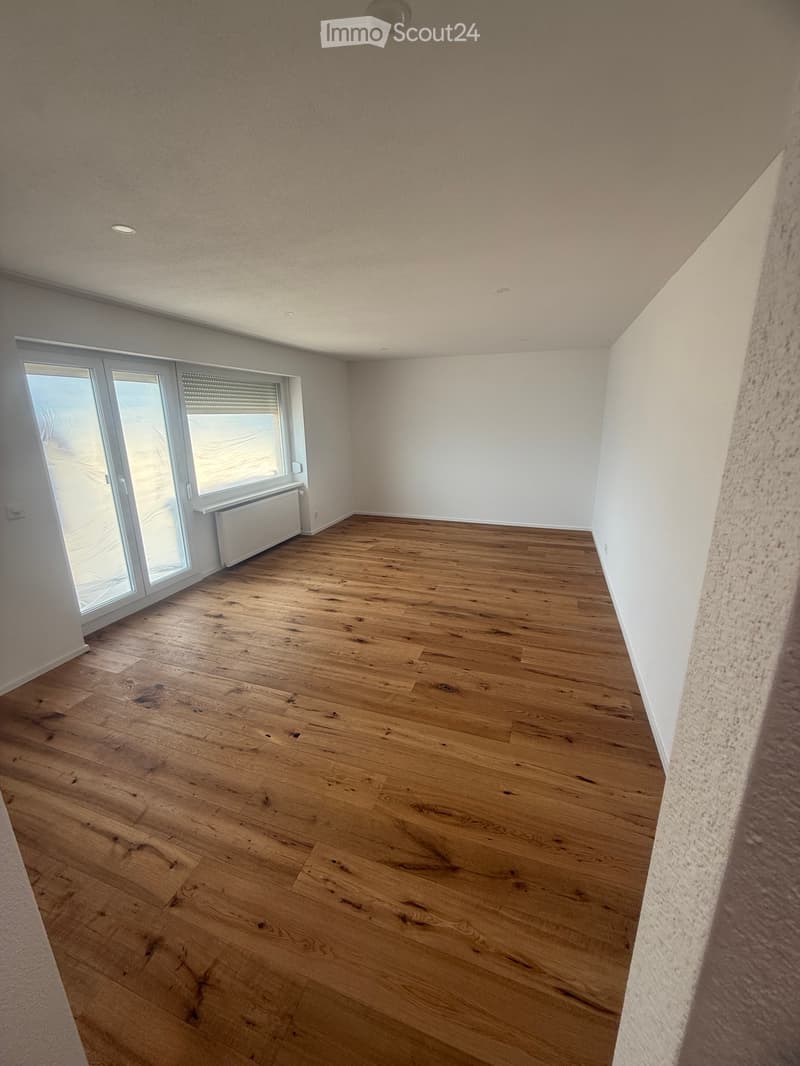 Freshly Renovated 4-Room Attic Apartment (5)