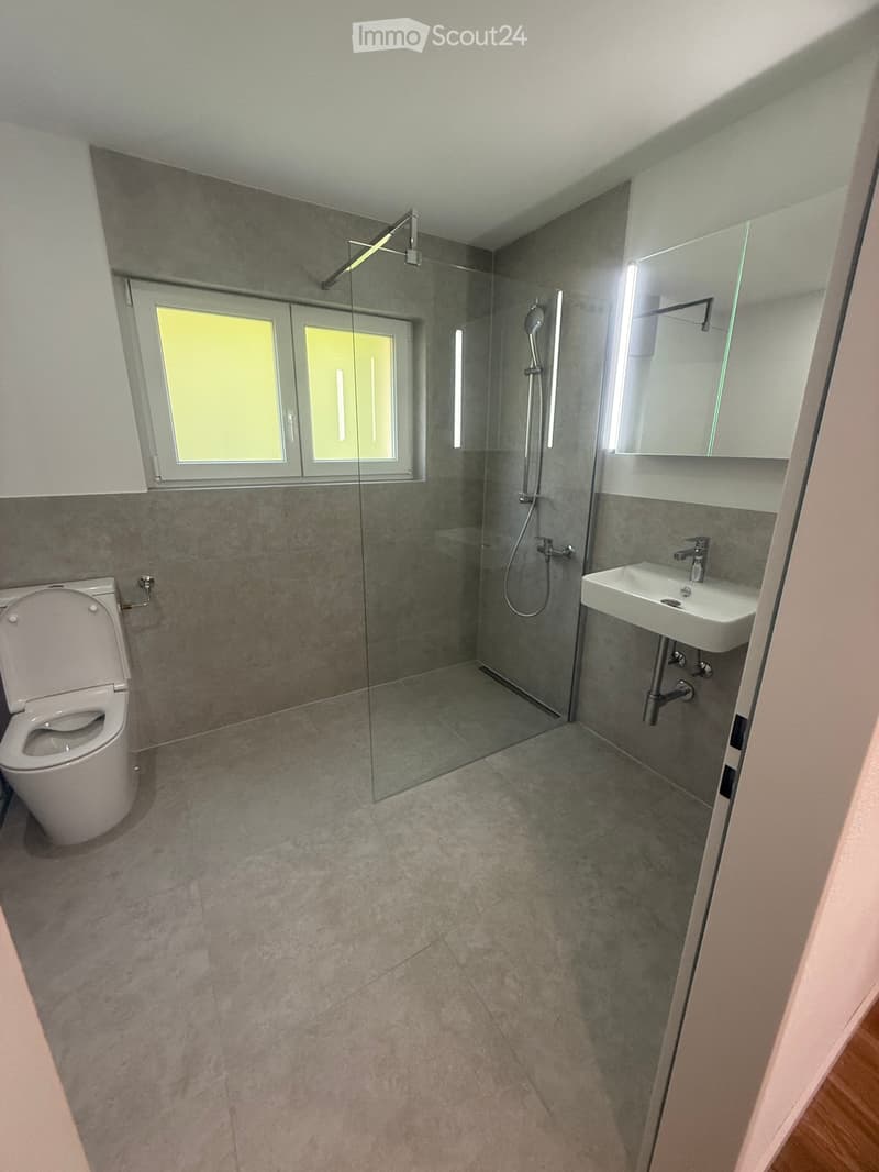 Freshly Renovated 4-Room Attic Apartment (3)
