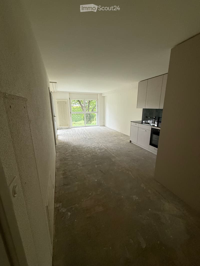 2,5 Zimmerwohnung zu vermieten (3)