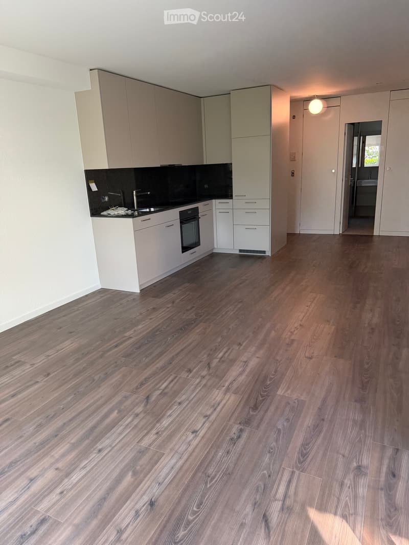 2,5 Zimmerwohnung zu vermieten (1)