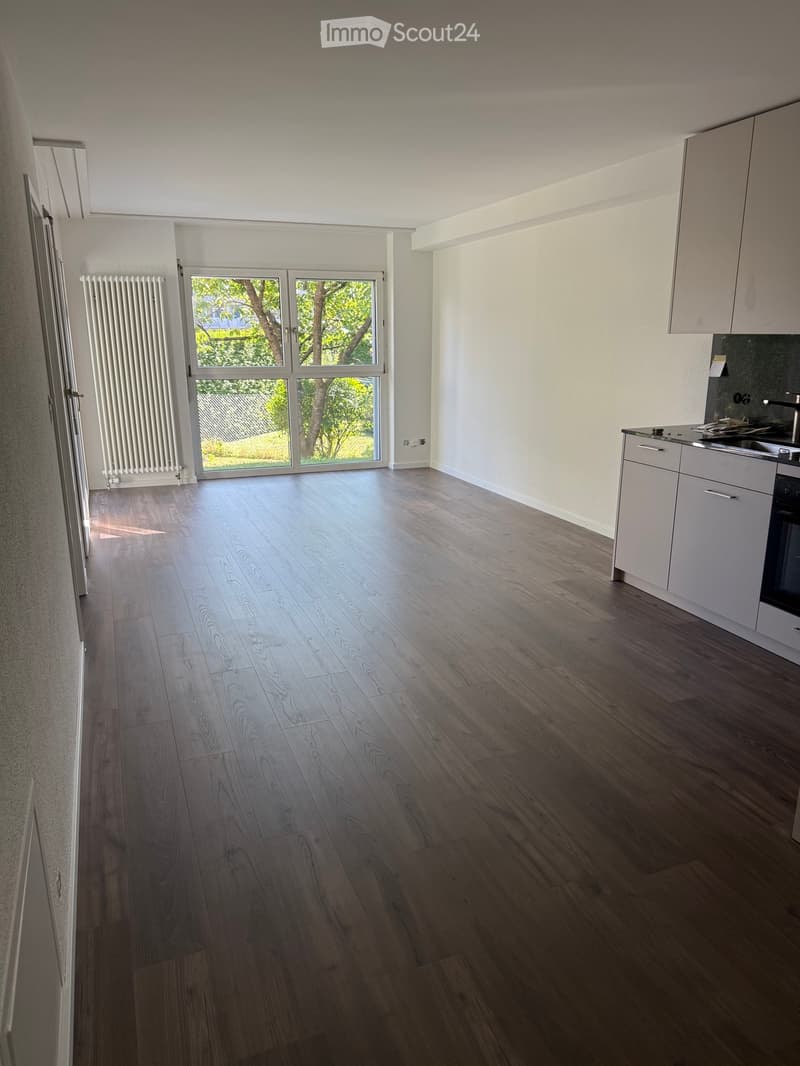 2,5 Zimmerwohnung zu vermieten (5)