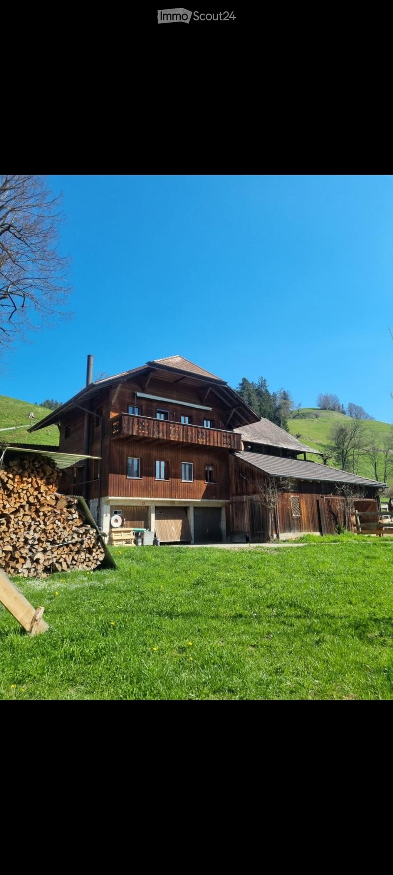 3.5 Zimmerwohnung mit Galerie (5)