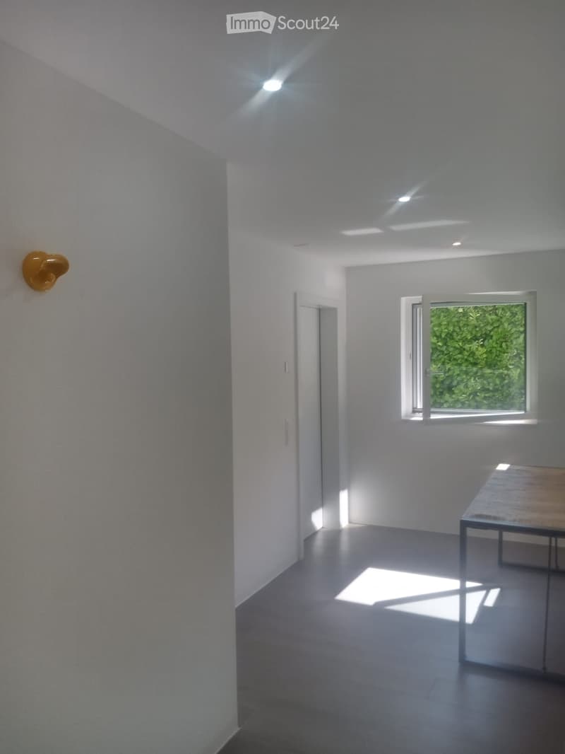 Local/room/office (3)