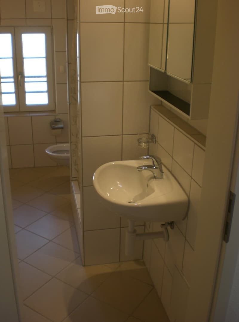 Schöne, günstige Dachgeschosswohnung (4)