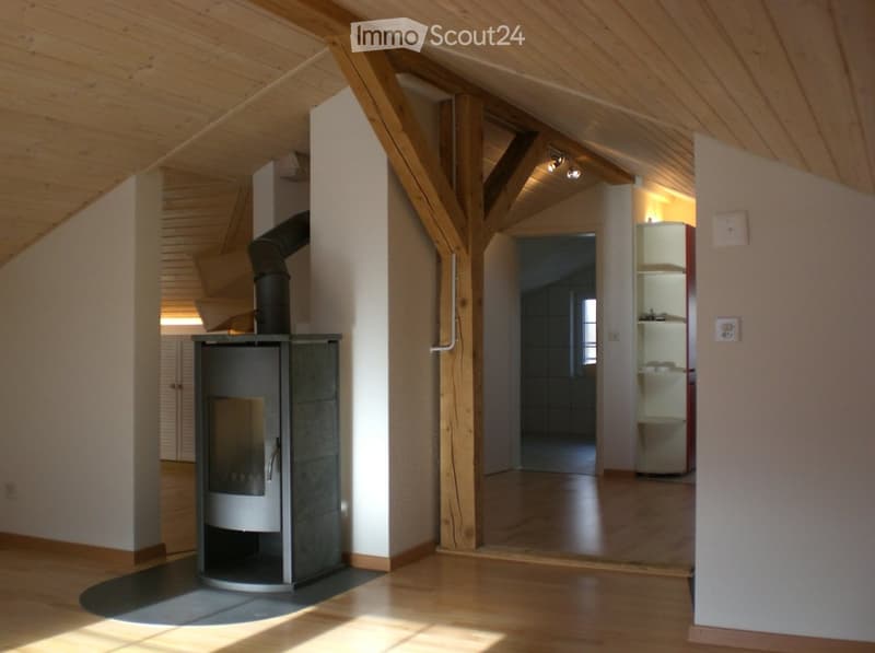 Schöne, günstige Dachgeschosswohnung (1)