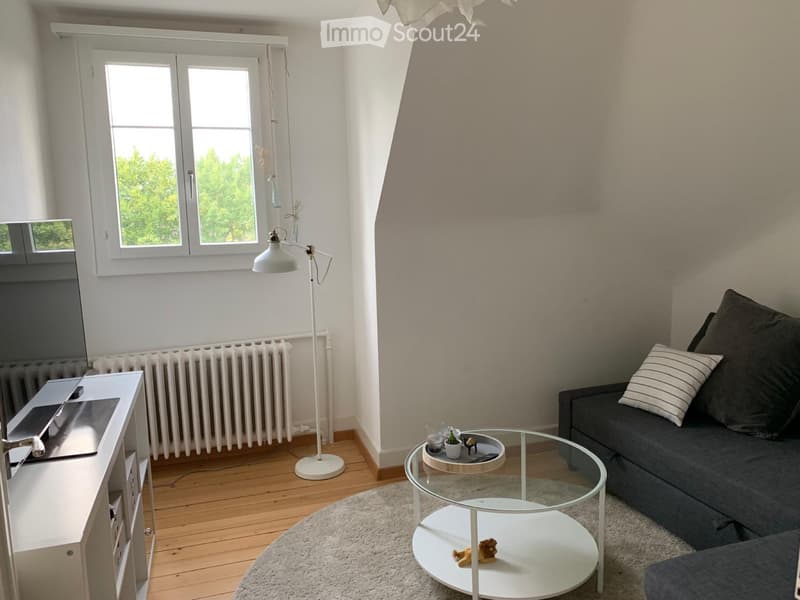 Charming attic apartment in central location (4)