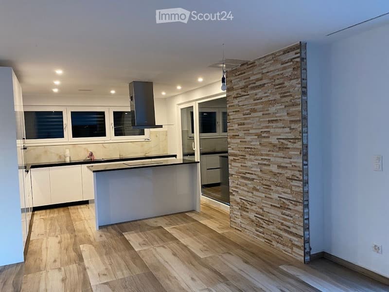 Modern 5.5-room single-family house (2)