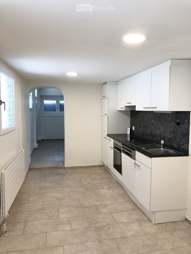 Beautiful 2.5 room apartment for rent on the ground floor (2)
