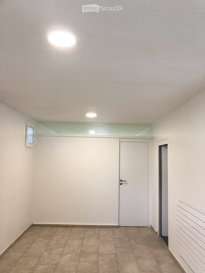 Beautiful 2.5 room apartment for rent on the ground floor (5)