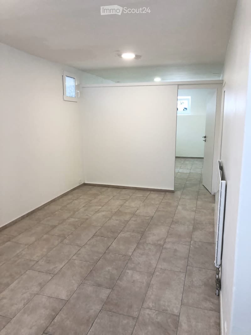 Beautiful 2.5 room apartment for rent on the ground floor (4)