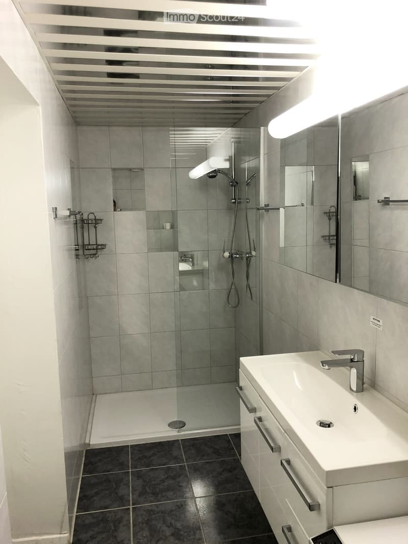 Beautiful 2.5 room apartment for rent on the ground floor (3)
