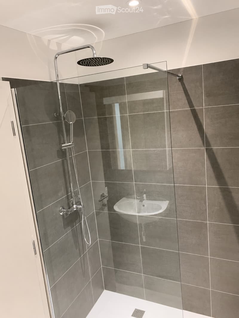 Modernes Apartment 3.5 in Cadenazzo (4)
