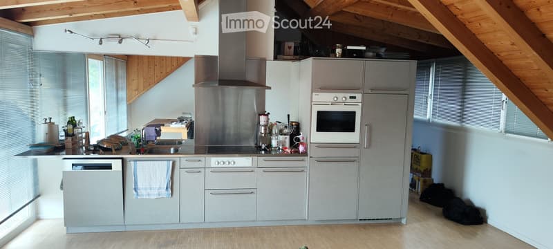 3 Zimmer Dachgeschoss Wohnung, Dachterasse 45m2 Lobsigen (2)