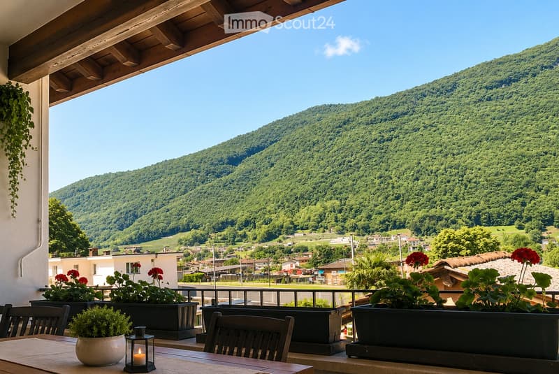 Casa 2,5 locali con loggia e due cantine naturali (1)