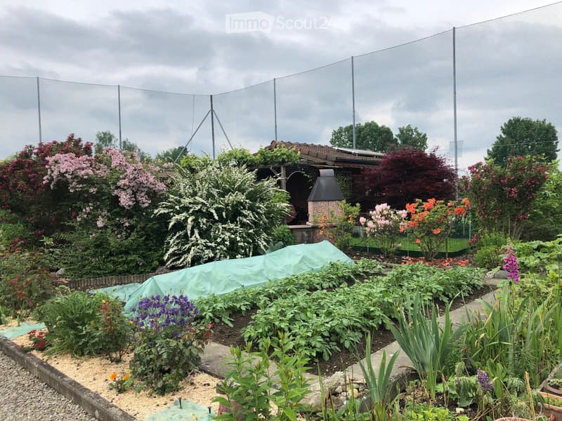 Dreamy family garden in Risch-Rotkreuz (1)