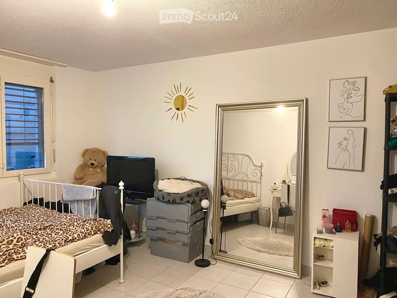 Appartamento 2 camere (3)