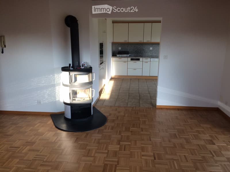Beautiful 4.5-room attic apartment with a far-reaching view into the green (2)