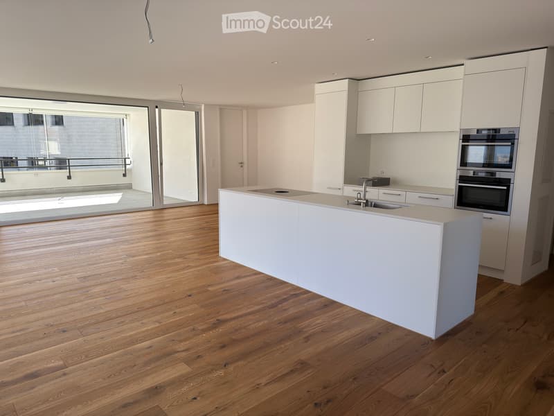 Modern 4.5 room apartment in a quiet residential area (1)