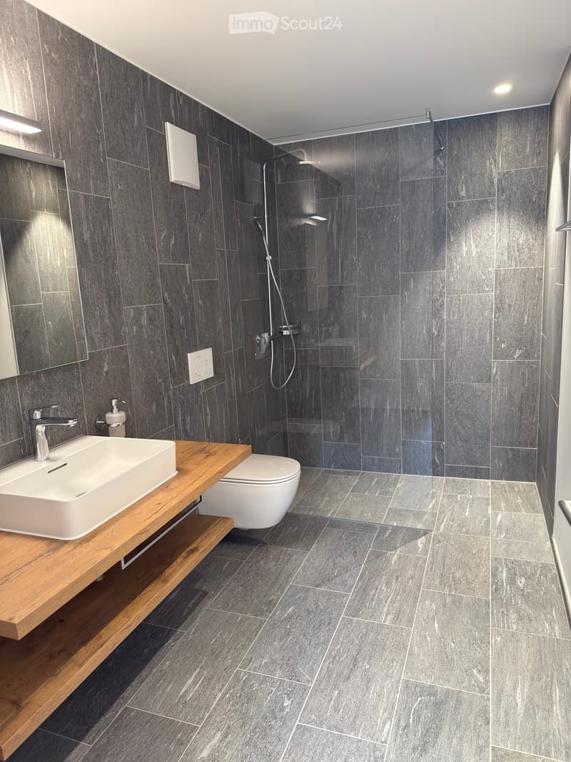 Modern 4.5 room apartment in a quiet residential area (5)