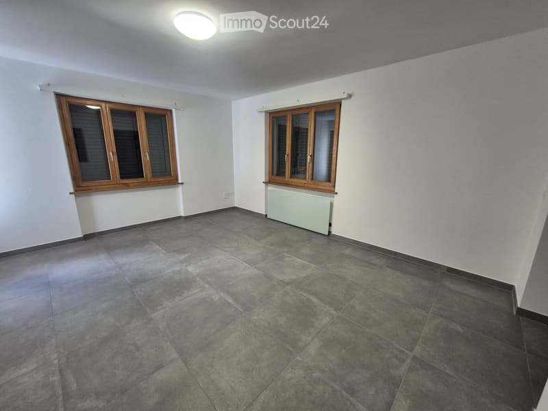Completely renovated apartment (3)