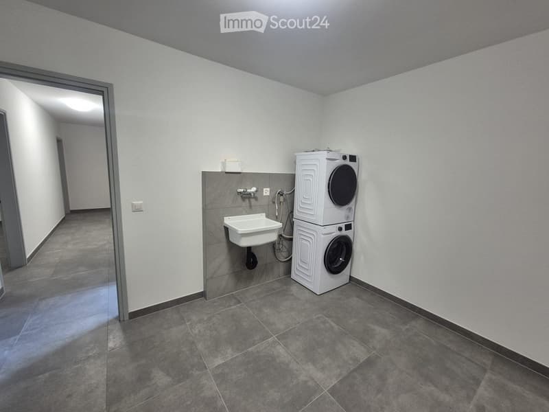 Completely renovated apartment (4)
