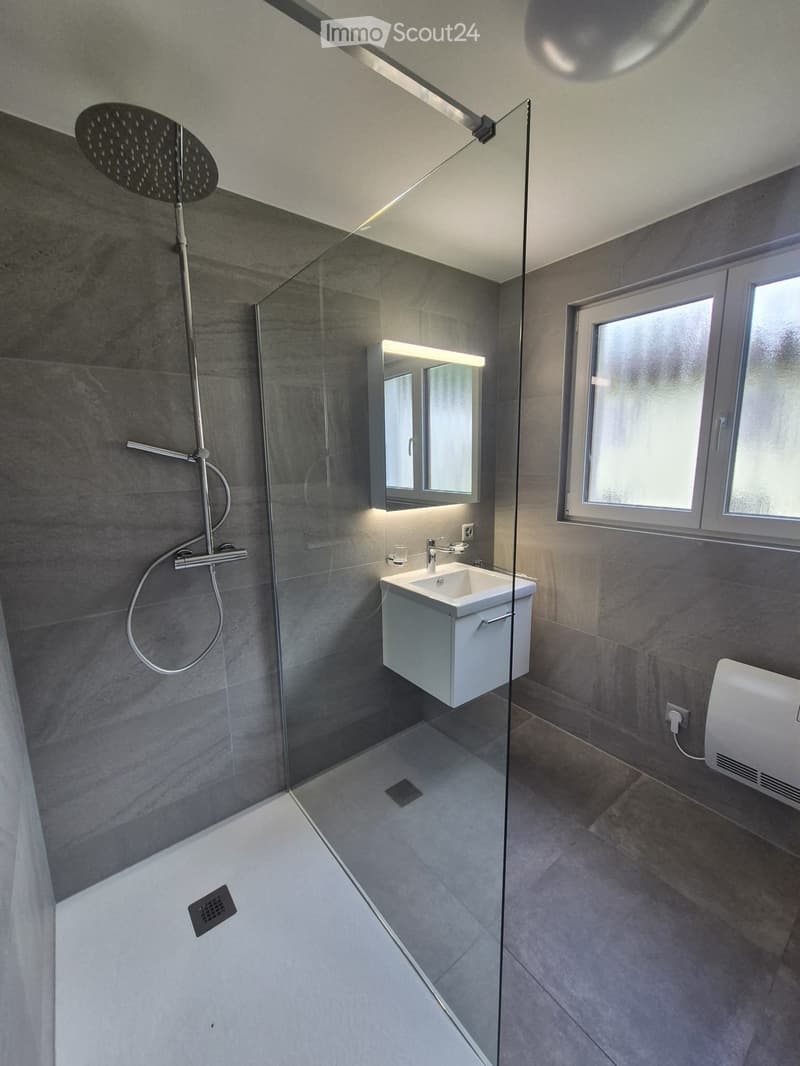 Completely renovated apartment (2)